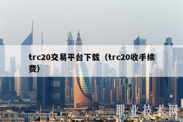 trc20交易平台下载（trc20收手续费）-第1张图片-binance下载