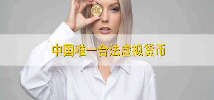 中国唯一合法虚拟货币 虚拟货币简介-第1张图片-欧意下载