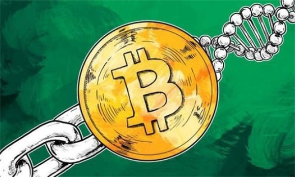 GO币今日最新价格行情-第1张图片-欧意下载