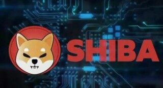 为什么binance下载不了(binance怎么下载不了)