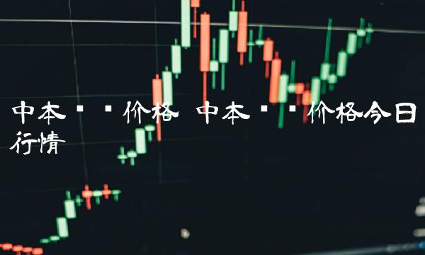 中本聪币价格 中本聪币价格今日行情-第1张图片-binance下载