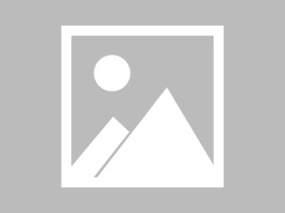 派币最新消息与新闻(派币今日最新消息今日)