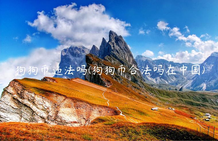 狗狗币违法吗(狗狗币合法吗在中国)-第1张图片-binance下载