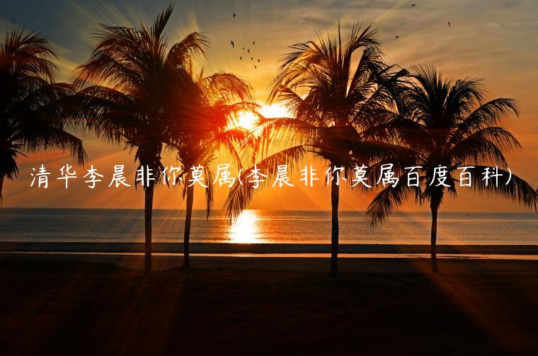 清华李晨非你莫属(李晨非你莫属百度百科)-第1张图片-binance下载