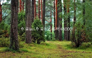 binancebtc(binanceBTC插针48000)