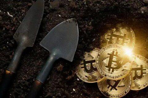 比特币交易信息平台 btc交易所平台排名-第1张图片-欧意下载