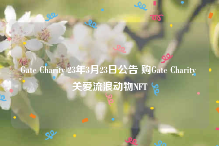Gate Charity 23年3月23日公告 购Gate Charity 关爱流浪动物NFT-第1张图片-binance下载