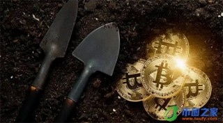 2022pi币今日的最新信息(2022年pi币)