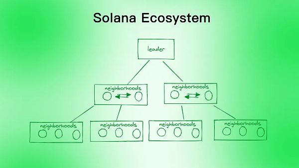 Aptos是资本推动的又一个Solana吗？-第5张图片-binance下载
