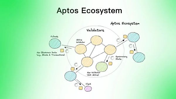 Aptos是资本推动的又一个Solana吗？-第6张图片-binance下载