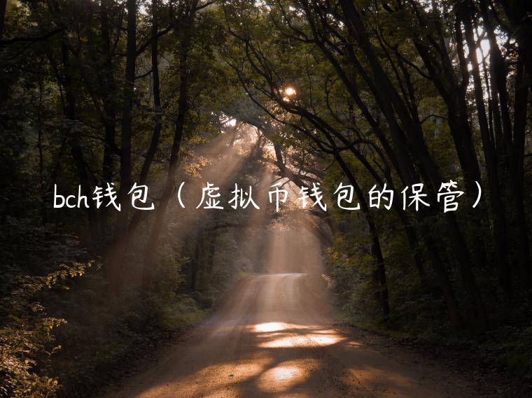 bch钱包（虚拟币钱包的保管）-第1张图片-欧意下载
