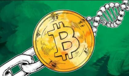 虚拟币交易平台怎么注册|比特币交易平台都有哪些-第2张图片-binance下载