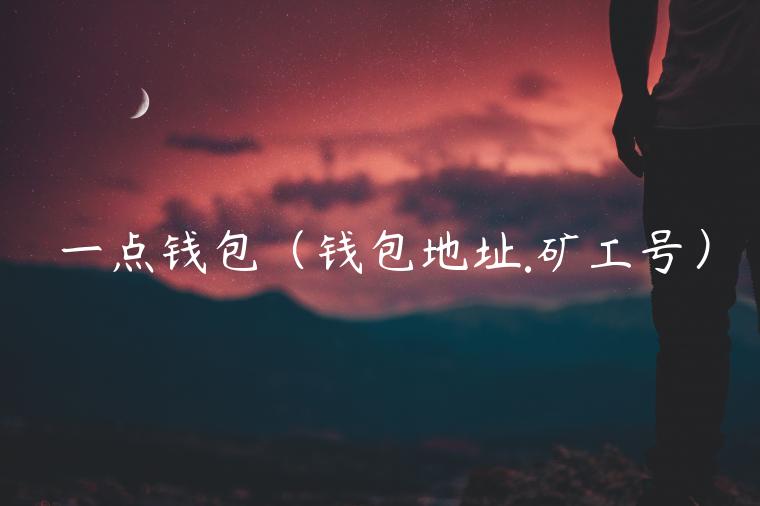 一点钱包（钱包地址.矿工号）-第1张图片-欧意下载