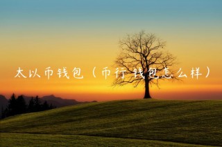 太以币钱包（币行 钱包怎么样）