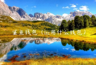鲨鱼钱包（ltc用什么钱包）