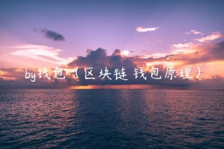 by钱包（区块链 钱包原理）
