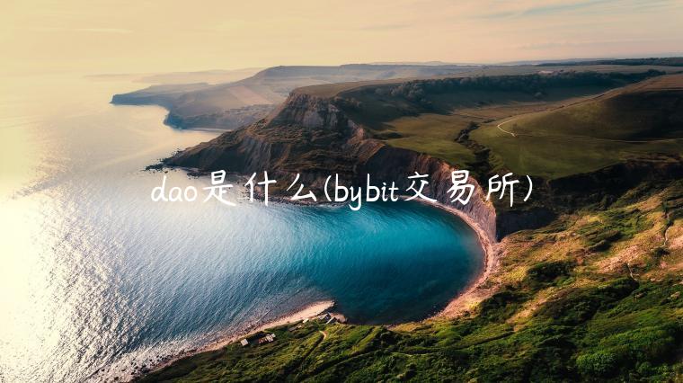 dao是什么 - bybit 交易平台-第1张图片-binance下载