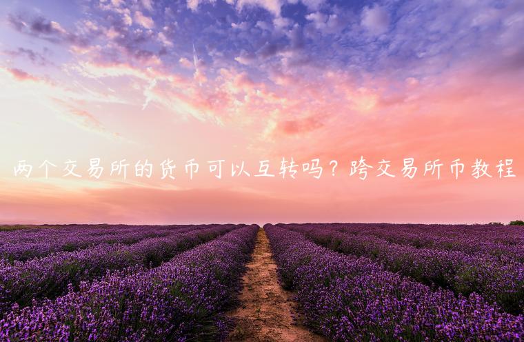 两个 交易平台的货币可以互转吗？跨 交易平台币教程-第1张图片-binance下载