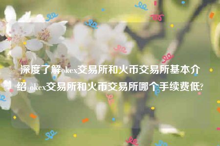 binance下载最新官方app-深度了解ok 交易平台和火币 交易平台基本介绍 ok 交易平台和火币 交易平台哪个手续费低-第1张图片-binance下载