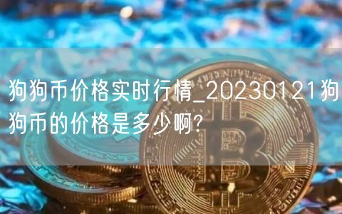 狗狗币价格实时行情_20230121狗狗币的价格是多少啊?-第1张图片-欧意下载