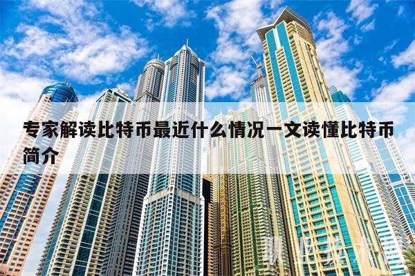 专家解读比特币最近什么情况一文读懂比特币简介-第1张图片-binance下载