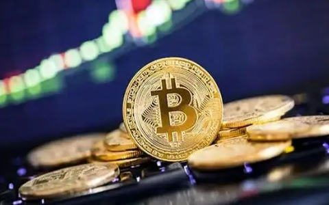 正规数字货币交易平台|2023虚拟币交易平台app排行-第4张图片-binance下载