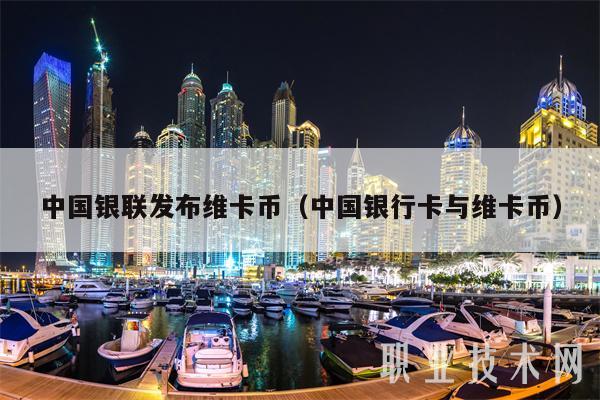 中国银联发布维卡币（中国银行卡与维卡币-第1张图片-binance下载
