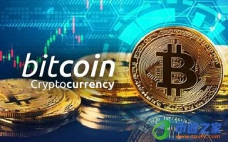 2022年最有潜力的万倍币(未来最有可能成为千倍币)