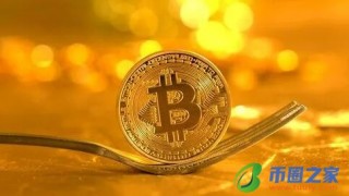 兀币官网最新消息(兀币今日价格)