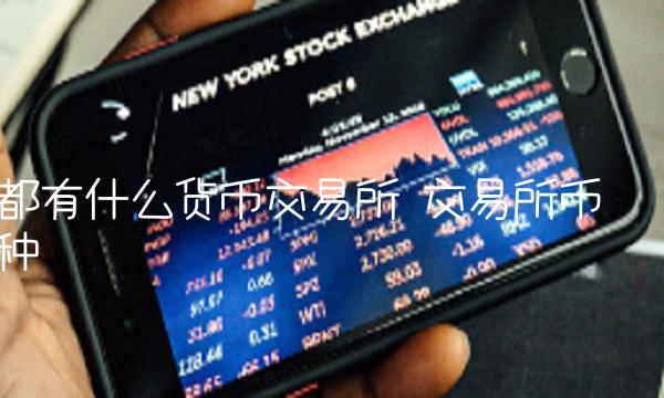都有什么货币交易所-第1张图片-binance下载