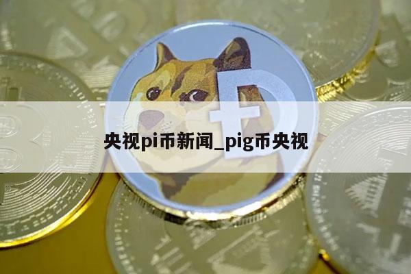 央视pi币新闻_pig币央视-第1张图片-binance下载