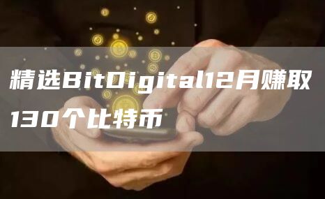 精选BitDigital12月赚取130个比特币-第1张图片-binance下载