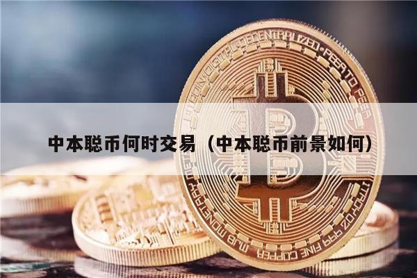 中本聪币何时交易（中本聪币前景如何）-第1张图片-binance下载