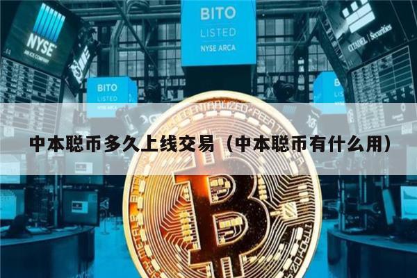 中本聪币多久上线交易（中本聪币有什么用）-第1张图片-binance下载