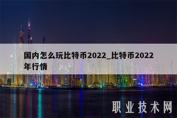 国内怎么玩比特币2022_比特币2022年行情-第1张图片-binance下载