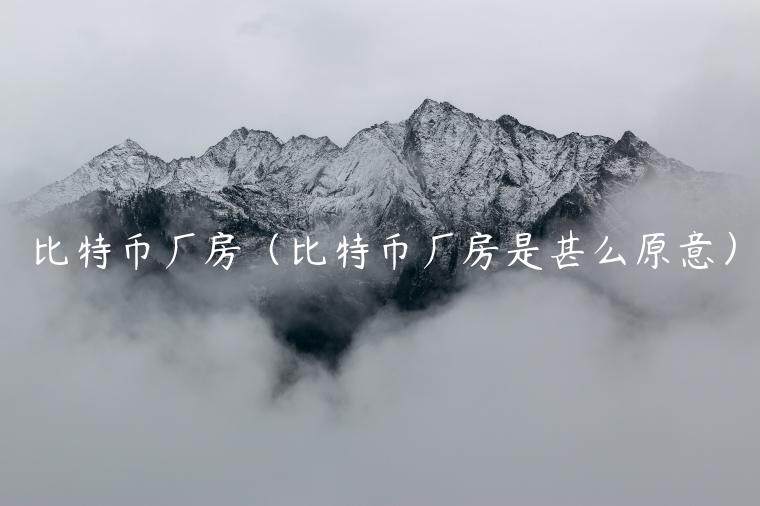 比特币厂房（比特币厂房是甚么原意）-第1张图片-欧意下载