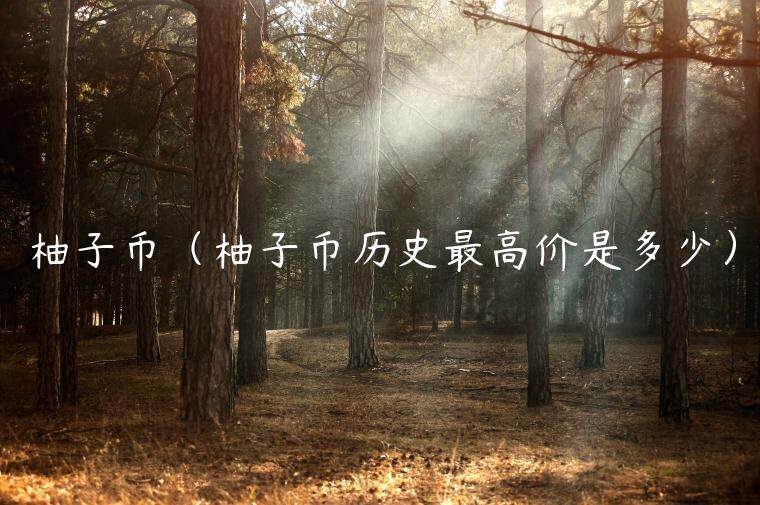 柚子币（柚子币历史最高价是多少）-第1张图片-欧意下载