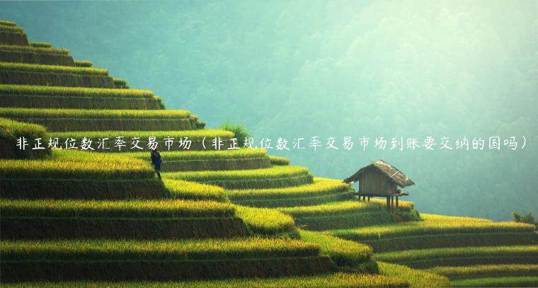 非正规位数汇率交易市场（非正规位数汇率交易市场到账要交纳的国吗）-第1张图片-欧意下载