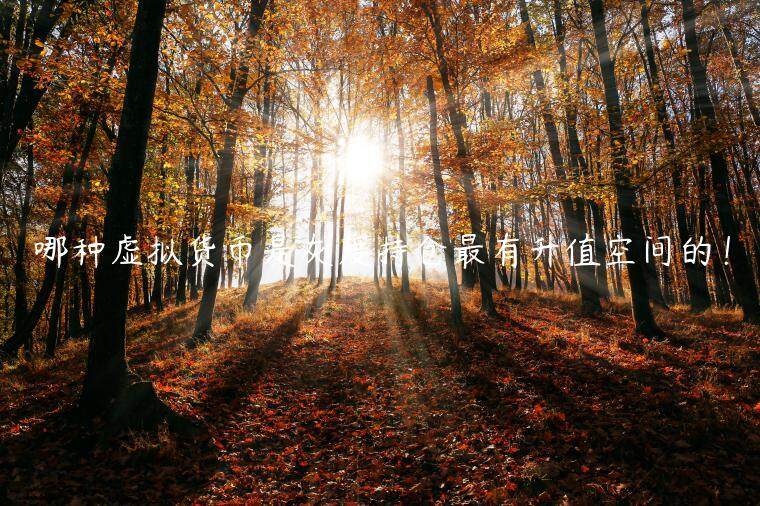 哪种虚拟货币是灰度持仓最有升值空间的！-第1张图片-欧意下载