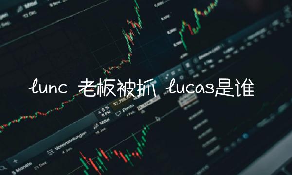 老板被抓-第1张图片-binance下载