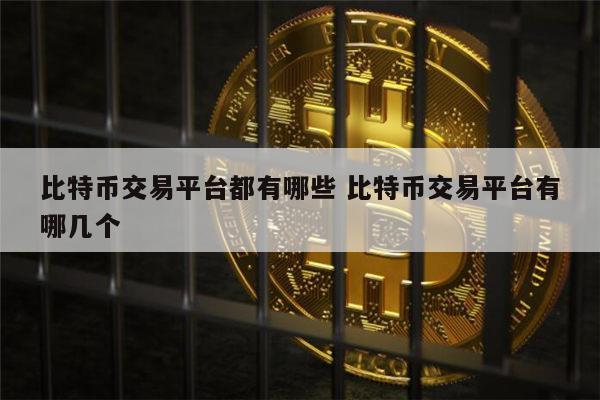 比特币交易平台都有哪些 比特币交易平台有哪几个安全-第1张图片-欧意下载