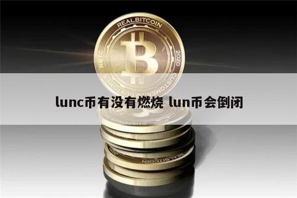 lunc币何时开启燃烧计划 lunc能涨到1美元吗-第1张图片-欧意下载