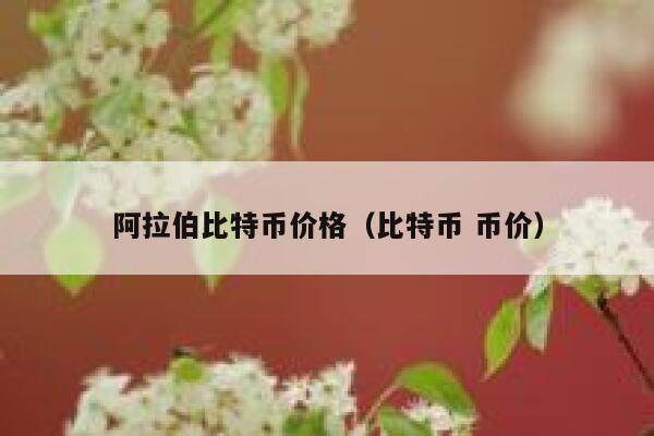 阿拉伯比特币价格（比特币 币价）-第1张图片-欧意下载