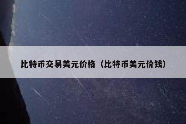 比特币交易美元价格（比特币美元价钱）-第1张图片-欧意下载