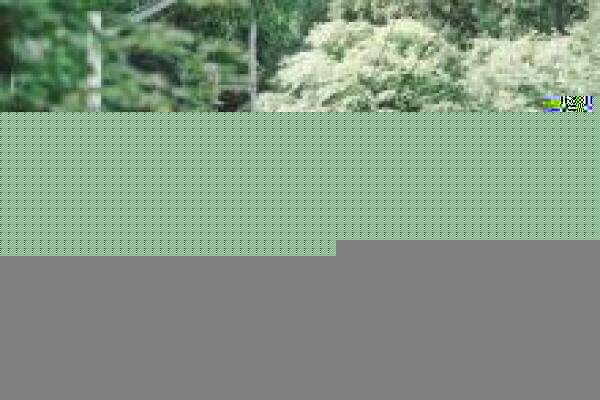 以太坊价格热（以太坊最新价格及行情）-第1张图片-欧意下载