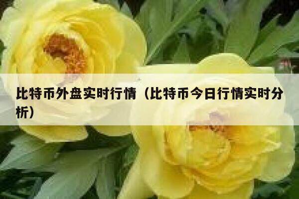 比特币外盘实时行情（比特币今日行情实时分析）-第1张图片-欧意下载