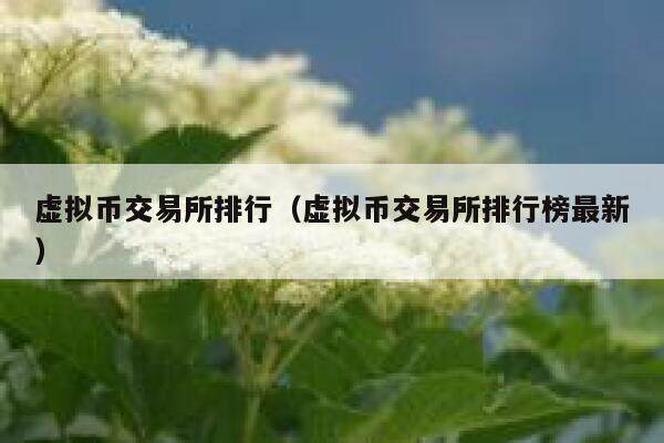 虚拟币交易所排行（虚拟币交易所排行榜最新）-第1张图片-欧意下载
