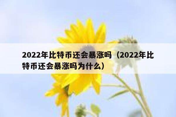 2022年比特币还会暴涨吗（2022年比特币还会暴涨吗为什么）-第1张图片-欧意下载