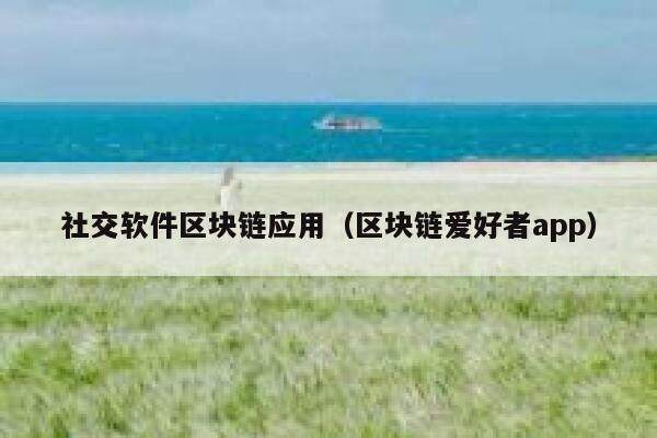 社交软件区块链应用（区块链爱好者app）-第1张图片-欧意下载