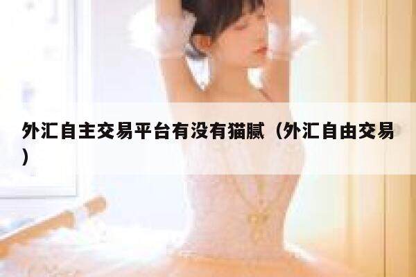 外汇自主交易平台有没有猫腻（外汇自由交易）-第1张图片-欧意下载